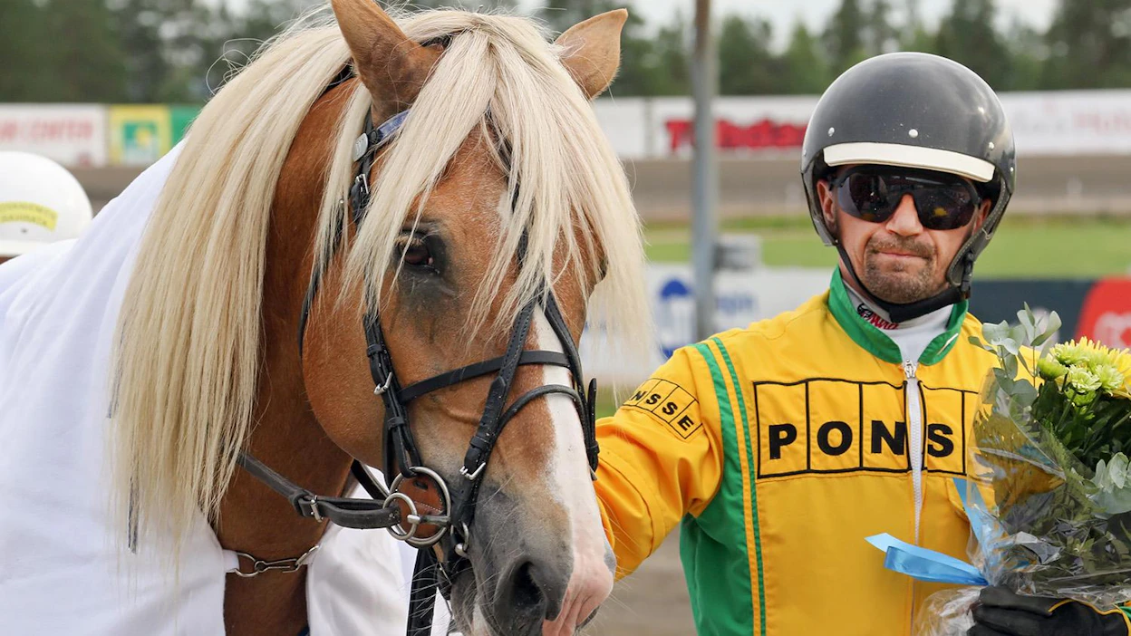 Arto Komulaisen komealla liinaharjalla Vernatolla on haussa jo uran 22. ykkössija. Vastus on Oulussa jämäkkää luokkaa.