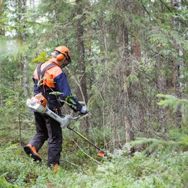 Miten sinä sujuvoittaisit metsän hoitoa tai muita metsätalouden vaiheita?