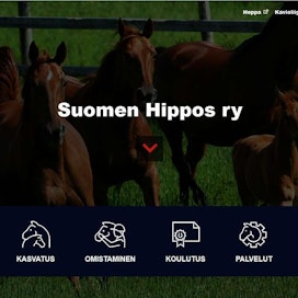 Suomen Hippos uusi verkkosivunsa kesällä.
