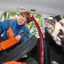 Sekarotuinen Milli-koira kulkee Lietzénin mukana töissä.