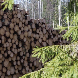 Yksityismetsien pystykaupoista kertyi viime vuonna puuta 44,1 miljoonaa kuutiometriä. Hankintakauppapuun määrä supistui 13 prosenttia vajaaseen kahdeksaan miljoonaan kuutiometriin.