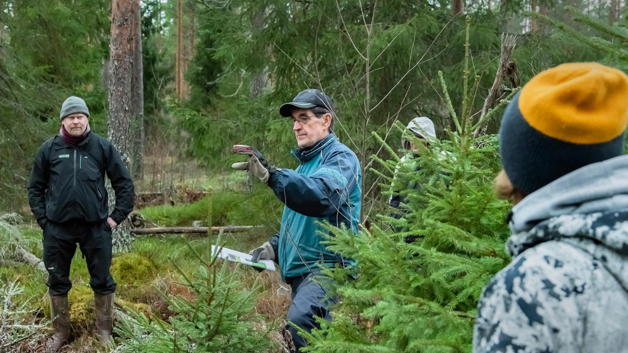 Kauhavan yhteismetsän hoitokunnan puheenjohtaja Alpo Puro-aho (toinen vasemmalta) esitteli koulutusaamun kohteet. Tatu Viitasaari (vas.), Kalevi Pölönen (kuusen takana) ja Kaj Hauta-aho kuuntelevat, millaisia hoitotoimia yhteismetsä on tehnyt.
