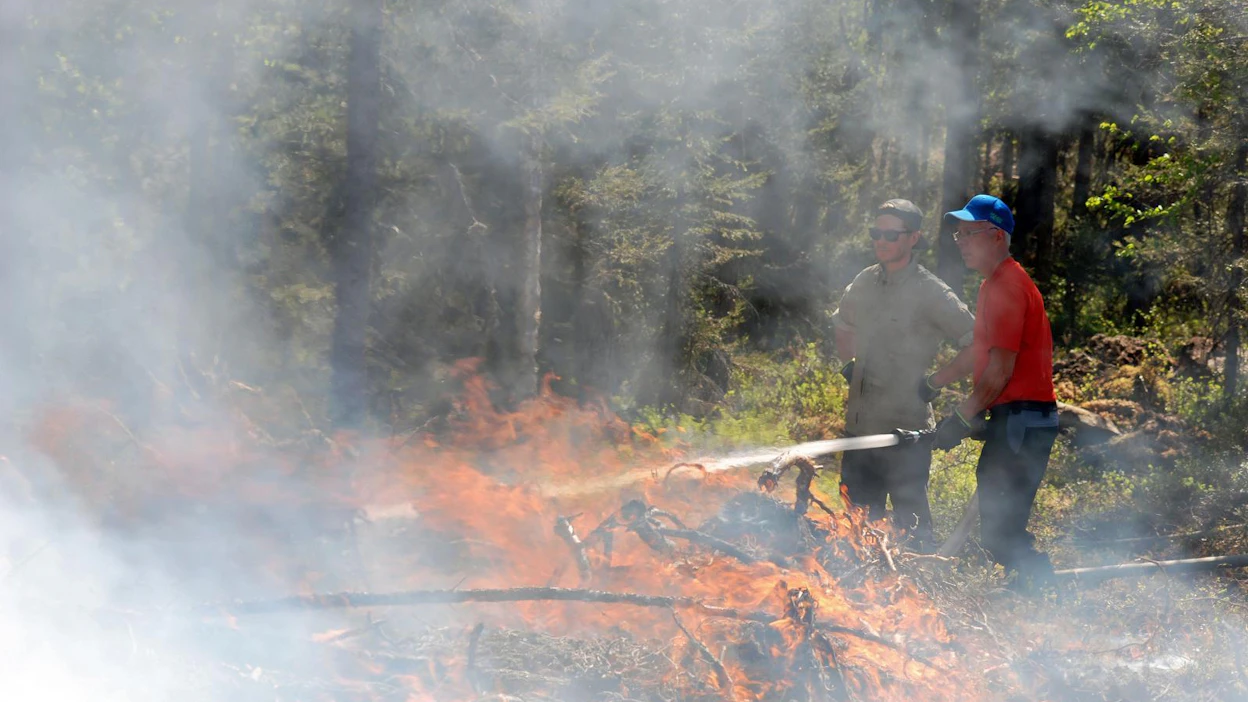 Muutama sekunti sytyttämisen jälkeen hakkuutähdekasoista nousee parimetrinen liekkimeri. Kulotus on luvanvarainen työlaji, johon on haettava lupa kunnan pelastuslaitokselta.