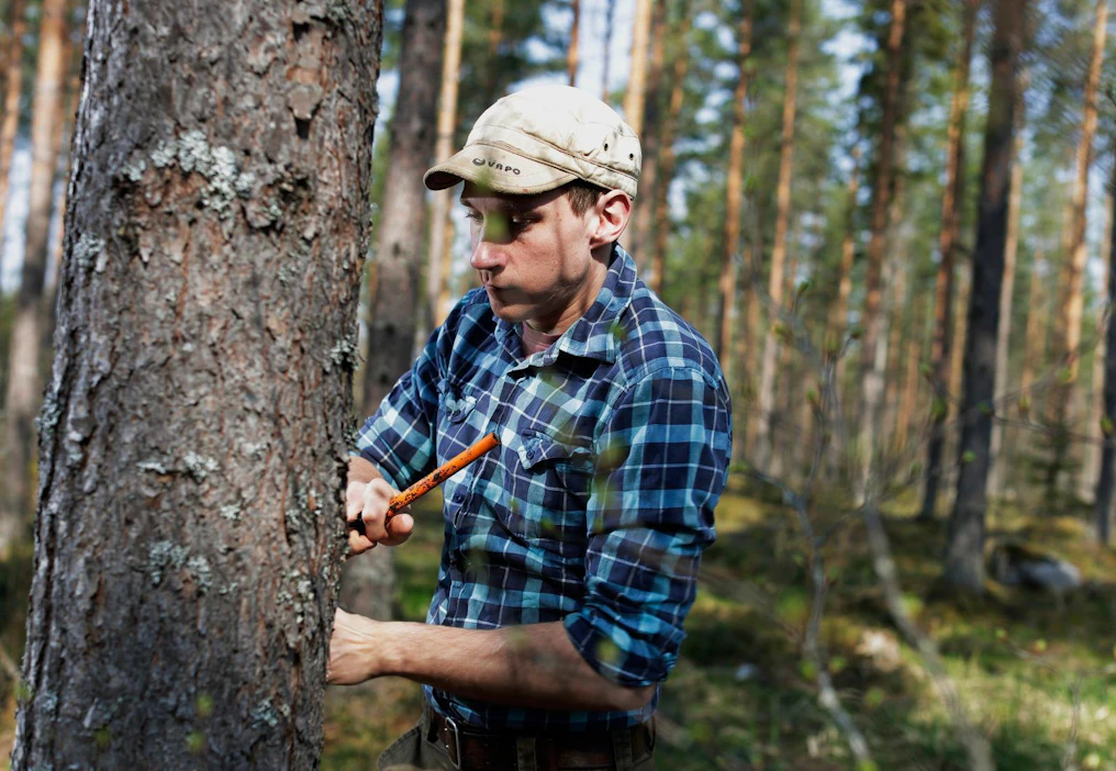 Eemeli Piesala Petäjävedeltä on tehnyt hiilisopimuksen Green Carbonin kautta. Metsikkö lannoitettiin viime vuonna ja tänä vuonna on vuorossa ensimmäinen korvaus puuston lisäkasvusta.