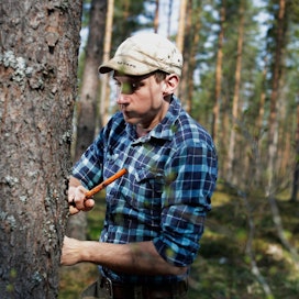Eemeli Piesala Petäjävedeltä on tehnyt hiilisopimuksen Green Carbonin kautta. Metsikkö lannoitettiin viime vuonna ja tänä vuonna on vuorossa ensimmäinen korvaus puuston lisäkasvusta.