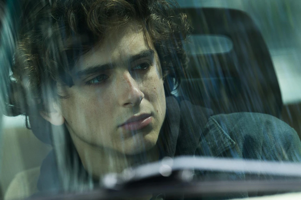 Timothée Chalamet sai huumeriippuvaisen teinipojan roolista Golden Globe- ja Bafta-ehdokkuudet. Oscar-ehdokkuus jäi saamatta.