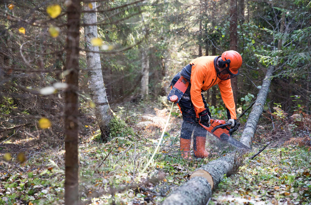 Työelämävuosinaan Seppo Marttinen ei ehtinyt hoitaa metsiään niin aktiivisesti kuin olisi halunnut. Nyt eläkeläisenä hän kuroo hoitovelkaa umpeen.