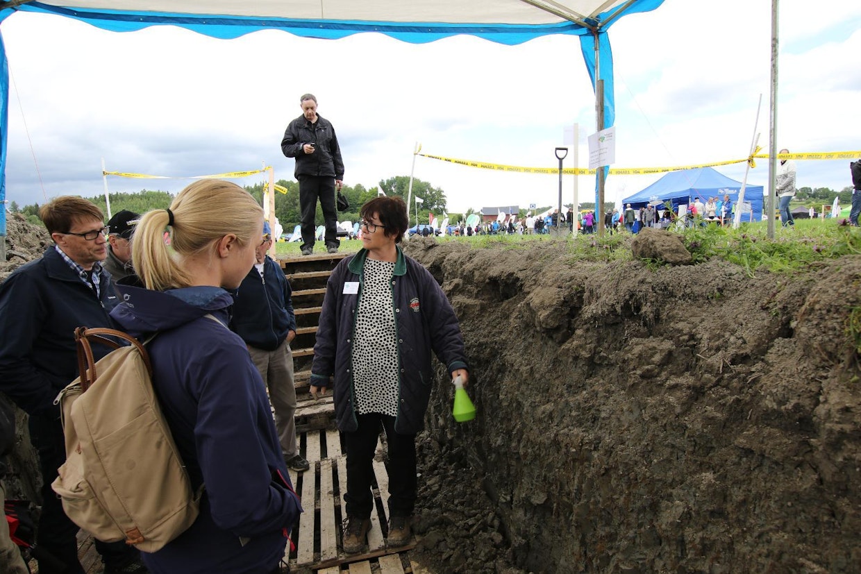 Professori Laura Alakukku esitteli pellolle tehdyssä kaivannossa jankkuroinnin vaikutusta maaperän rakenteeseen ja kasvien juurien tunkeutuvuuteen.