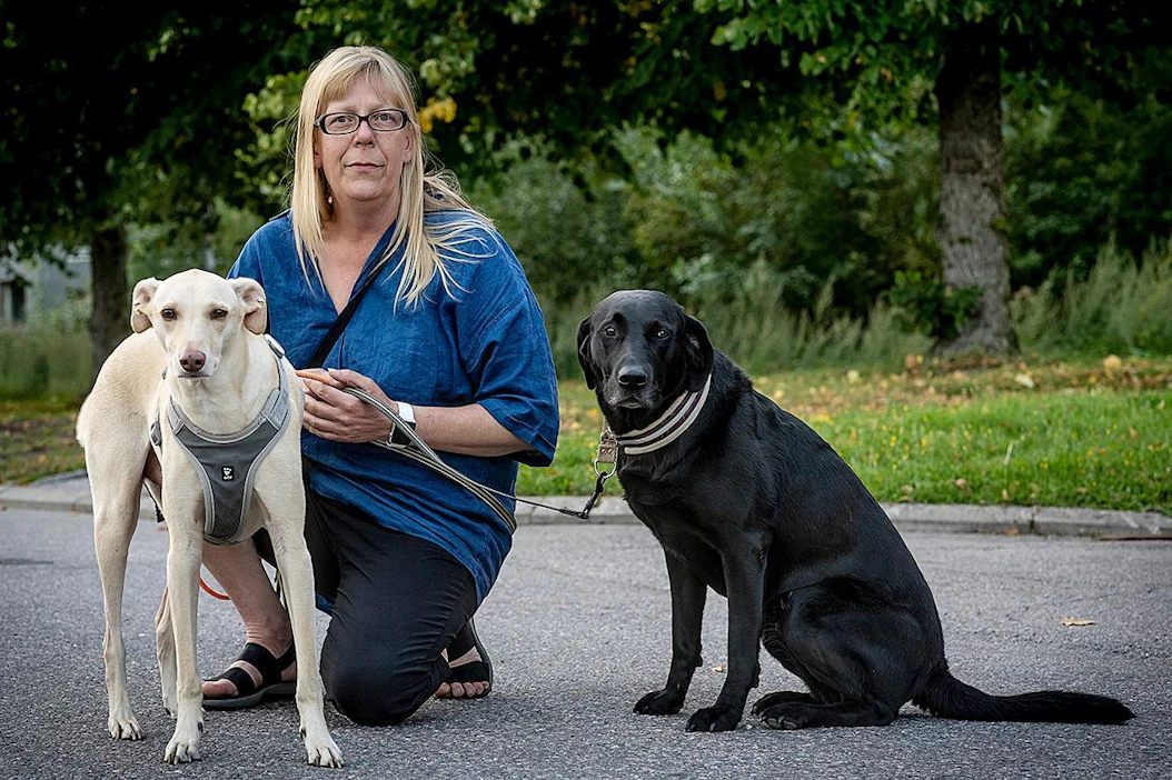 Susanna Paavilainen työskentelee Helsinki-Vantaan lentoasemalla koiriensa Kössin (vasemmalla) ja Miinan kanssa.