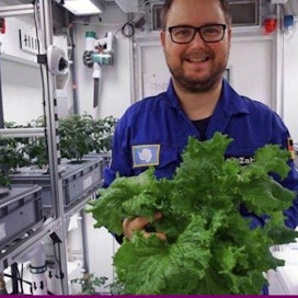 Saksalainen tutkija Paula Zabel esittelee komeaa salaattisatoa.