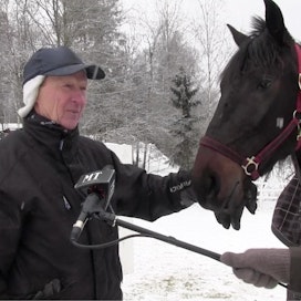 &quot;Birgit Combo oli aika kypsä, nopeasti kehittyvä hevonen&quot;, Pekka Korpi kuvailee tammaa, joka juoksi jo 2-vuotiaana lähes 28 000 euron voittosumman. Haastattelijana Lauri Hyvönen.
