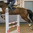 Niclas Aromaan treenissä Iina Purontakanen ja Ypäjä Ramatuelle (Balou du Rouet - Quidado), joka oli viime syksynä Laatuarvostelun paras FWB-hevonen. 