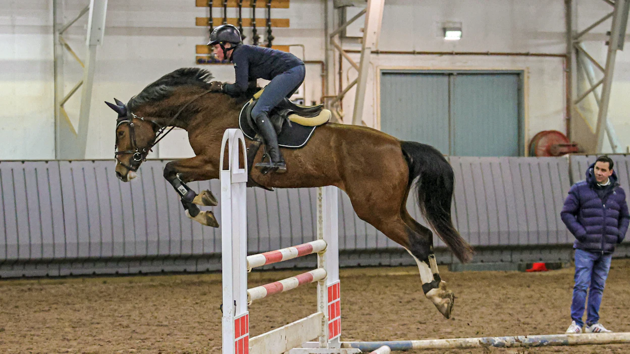Niclas Aromaan treenissä Iina Purontakanen ja Ypäjä Ramatuelle (Balou du Rouet - Quidado), joka oli viime syksynä Laatuarvostelun paras FWB-hevonen.