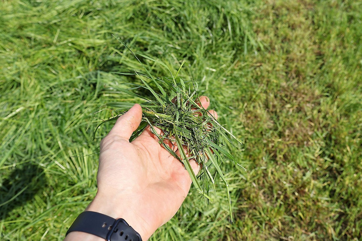 Ruuvatun heinän korsissa oli kuivumista nopeuttavia murtumia arviolta puolet siitä, mitä etukoneen kevyehkön murskauksen jäljiltä oli havaittavissa. Karhe ei kuitenkaan ole yhtä kuohkea kuin murskaimen jäljiltä, sillä ruuvi tekee karheeseen ikään kuin lyhteitä tasaisin välein. Ruuvit hiertävät erityisesti heinän lehtiä, minkä vuoksi karheen kyljet alkoivat kuivuessaan muuttua ruskeankirjaviksi.