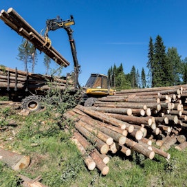 Hyvä kysyntä ja kantohintojen nousu ovat innostaneet metsänomistajat myymään puuta.