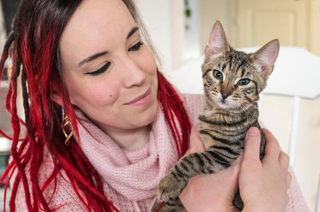 Erityiskissa Jiro päätti jäädä pysyvästi Elina Katajan luo. Jirolla on pikkuaivojen kehityshäiriö, mikä aiheuttaa motorisia ongelmia. Kissa ei kärsi tilastaan, mutta vaatii kodiltaan erityistarpeiden huomiointia.