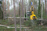 Metsiin on kertynyt valtava hoito- ja harvennusrästi. Metsänomistajat käyttävät mieluusti itse hoitohakkuista kertyvän pienpuun.