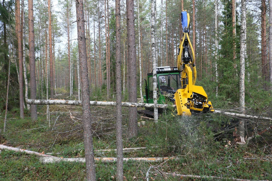 Metsiin on kertynyt valtava hoito- ja harvennusrästi. Metsänomistajat käyttävät mieluusti itse hoitohakkuista kertyvän pienpuun.