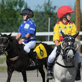 Suomen Hippoksen valtuuskunnan valitsemalla hallituksella on lähivuosina tehtävänään merkittäviä päätöksiä siitä, kokevatko nuoret hevoskasvatuksen ja -urheilun kiinnostavaksi suhteessa muihin ammatteihin ja urheilulajeihin.