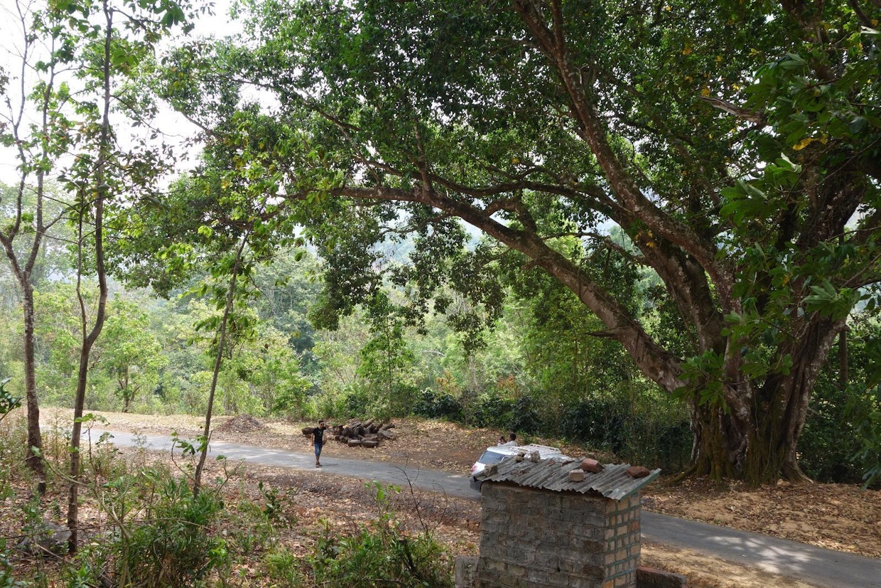 Älypuhelimet ja sosiaalinen media ovat tulleet nopeasti Myanmariin. Ne korvaavat tietokoneet ja televisionkin tiedonvälityksessä, koulutuksessa ja kaupankäynnissä.