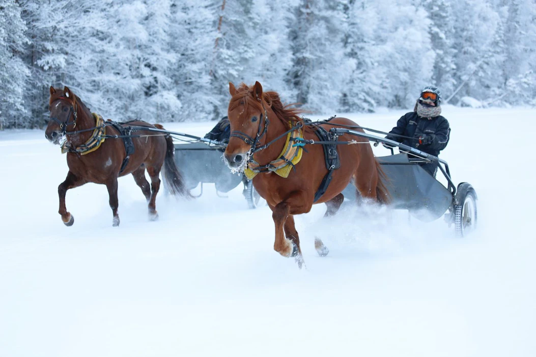 Antti Ojanperä rakentaa mieluiten hevosen valmennuksen nuoresta lähtien. Kunkkua ja Anttia "kirittivät" harjoituslenkillä nyt 5-vuotias Evartti ja puoliso Jutta Ihalainen.