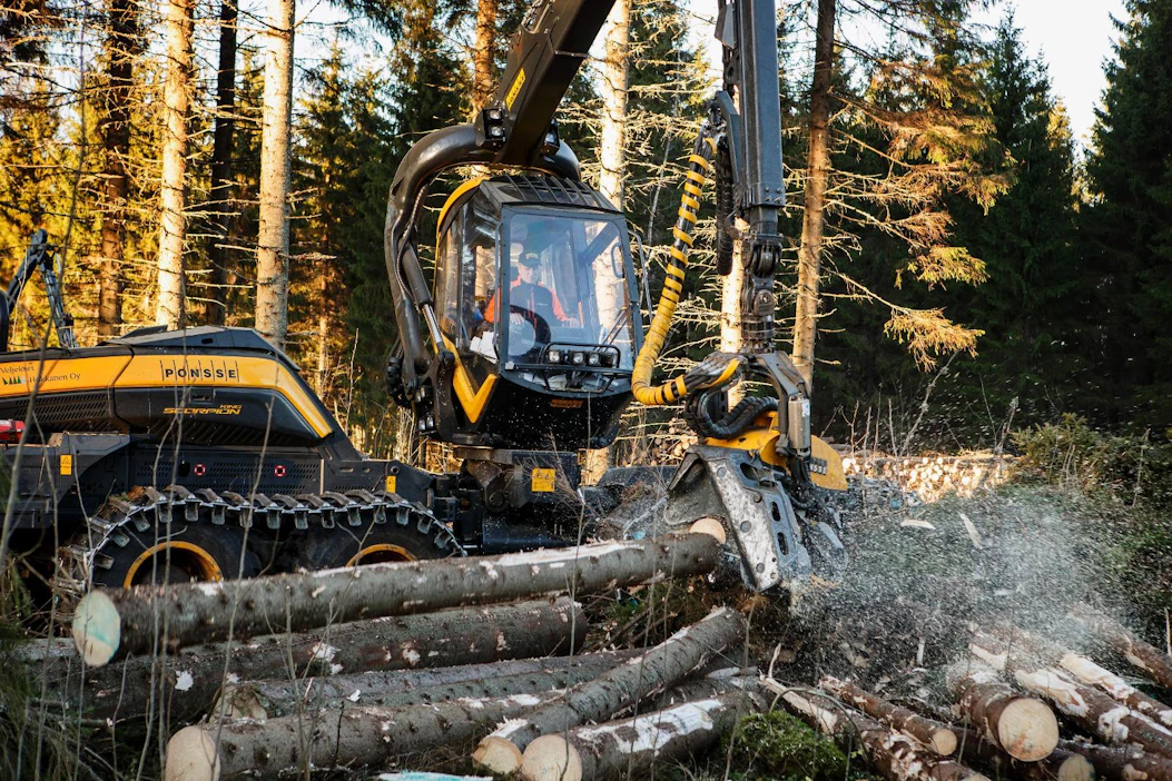 Puun kysyntä kohdistuu etupäässä kuusitukkiin, sulan maan aikana korjattaviin harvennuskohteisiin ja energiapuussa latvusmassaan, Metsä Groupin osavuosikatsauksessa todetaan.