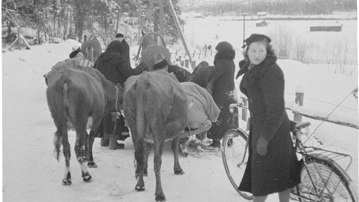 Rajaseudun väki pakkasi omaisuutensa moneen kertaan vuosina 1939–1944. Toinen tuntematon -kokoelman viimeisessä novellissa Lyyti Rokka purkaa jatkuvan evakkotaipaleen raskautta. Kuvassa evakuointia Kannaksella 1.12.1939.