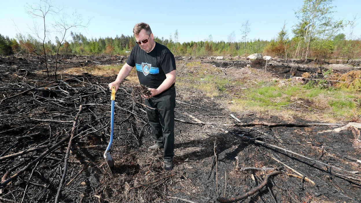 Metsänomistaja Pentti Wanhatalo kaivoi kulotuksen jälkeen lapiolla hiiltynyttä kunttaa. Se oli märkää. Hänen mielestään metsämaan kuivumista olisi pitänyt odottaa kauemmin ennen kulotusta.