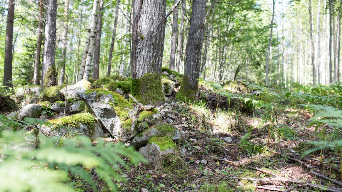 Metsänomistajuutta tutkinut Anne Matilainen uskoo, että ristiriitatilanteiden syntymistä voidaan vähentää, jos ymmärretään paremmin psykologisen omistajuuden roolia erilaisissa yhteistyösuhteissa.