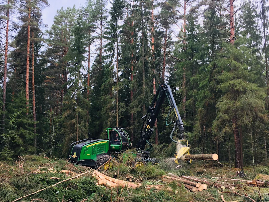 Ennätyshakkuista huolimatta metsien puuston kokonaismäärä jatkoi kasvua myös viime vuonna.