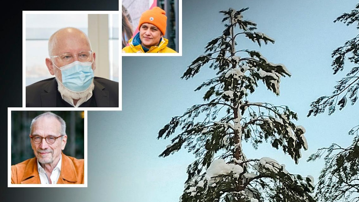 Nils Torvaldsin viestin mukaan Suomen hiilinielut ovat ennätystasolla. Silvia Modig kritisoi metsien monimuotoisuutta.