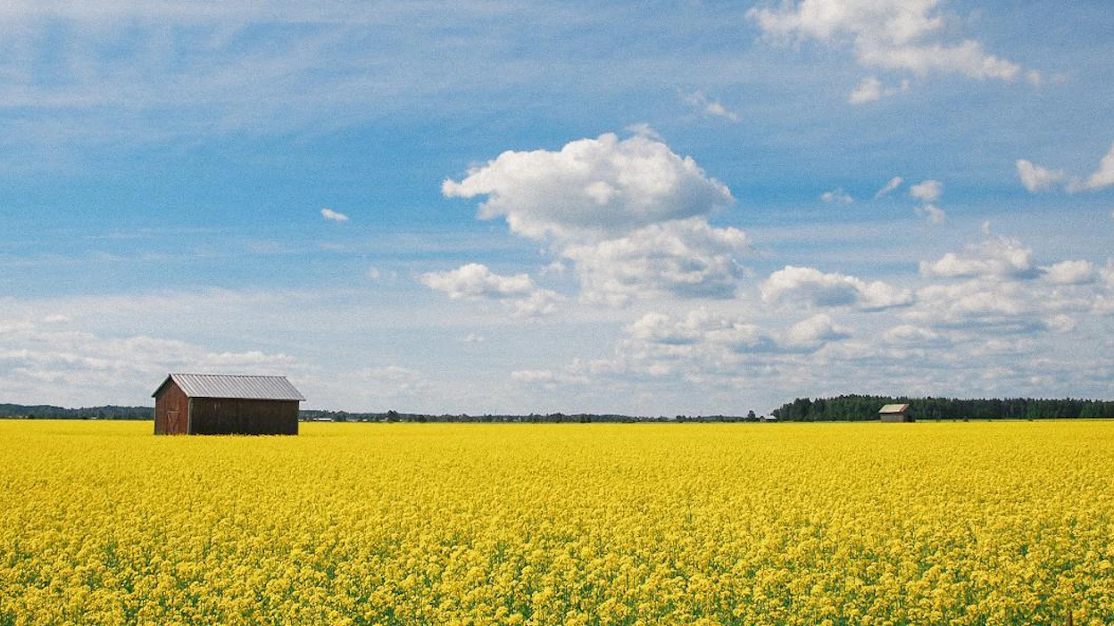 Suomen älykkäimmän kylän valinnassa kriteereinä ovat muun muassa palvelujen saatavuuden lisääntyminen ja tason nousu, idearikkaat ratkaisut sekä aktiivisesti osallistuvien kyläläisten määrä.