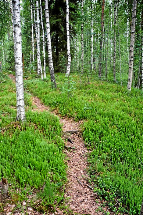 Kihniön Aitonevaa, jossa turvetuotanto alkoi jo 40-luvulla. Suo on poistettu käytöstä ja ennallistettu. Alueella on luontopolku.