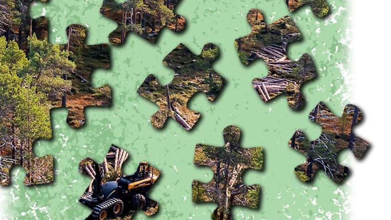 EU:n metsiin ja niiden käyttöön liittyvät tiekartat, strategiat ja lakialoitteet muodostavat monimutkaisen palapelin.