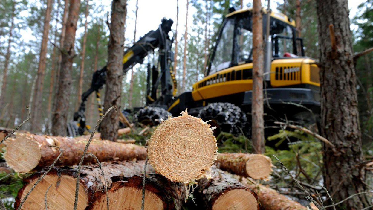 Metsäkonepalvelu oy:n toimitusjohtaja Teemu Tolppa jatkaa Koneyrittäjien puheenjohtajana ja hän toimii jatkossa myös metsävaliokunnan puheenjohtajana. Kuvituskuva.
