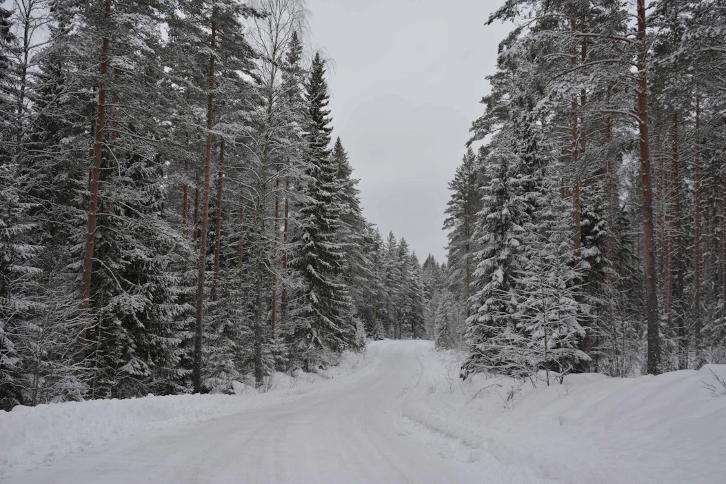 Metsähallitus on ilmoittanut, että neuvottelujen aikana pohditaan kaikkia mahdollisia vaihtoehtoja säästöjen löytymiseen. Puuliiton hallitus haluaa nähdä nimenomaan jonkin henkilöstöä rasittamattoman vaihtoehdon toteutuvan.