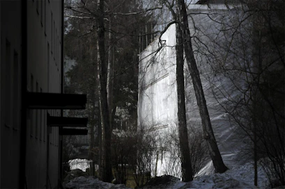 Kyselyyn vastanneista taloyhtiöstä joka kolmannella on tänä vuonna ollut korjaushanke.