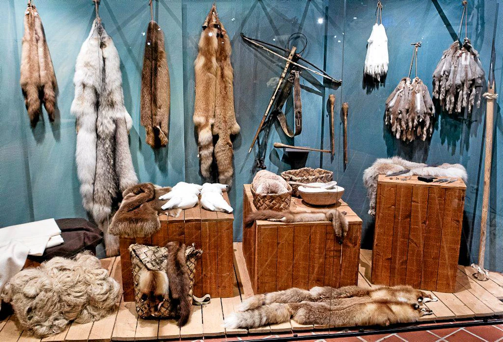 Metsästysmuseo. Turkismetsästyksen aikaa esittelevässä vitriinissä seinällä on saman arvoiset nahkat. Yhdellä sudennahkalla sai varsijousen.