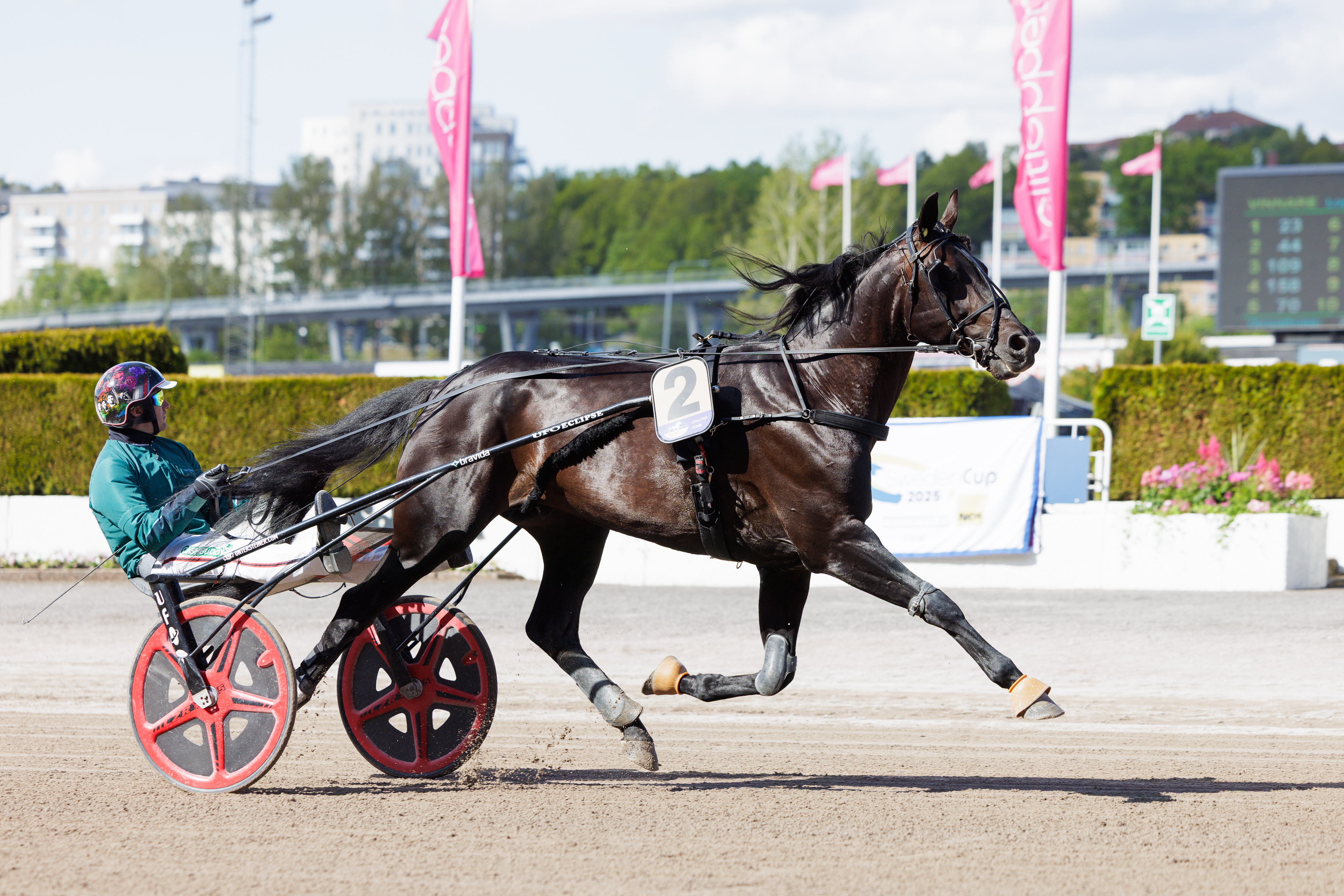 Dancer Brodde toi Johan Unterstenerille voiton kultadivisioonassa.