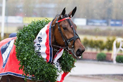 Vasta kerran urallaan hävinnyt Mascate Match hakee jo toista E3-seppelettään Ruotsista lauantaina.