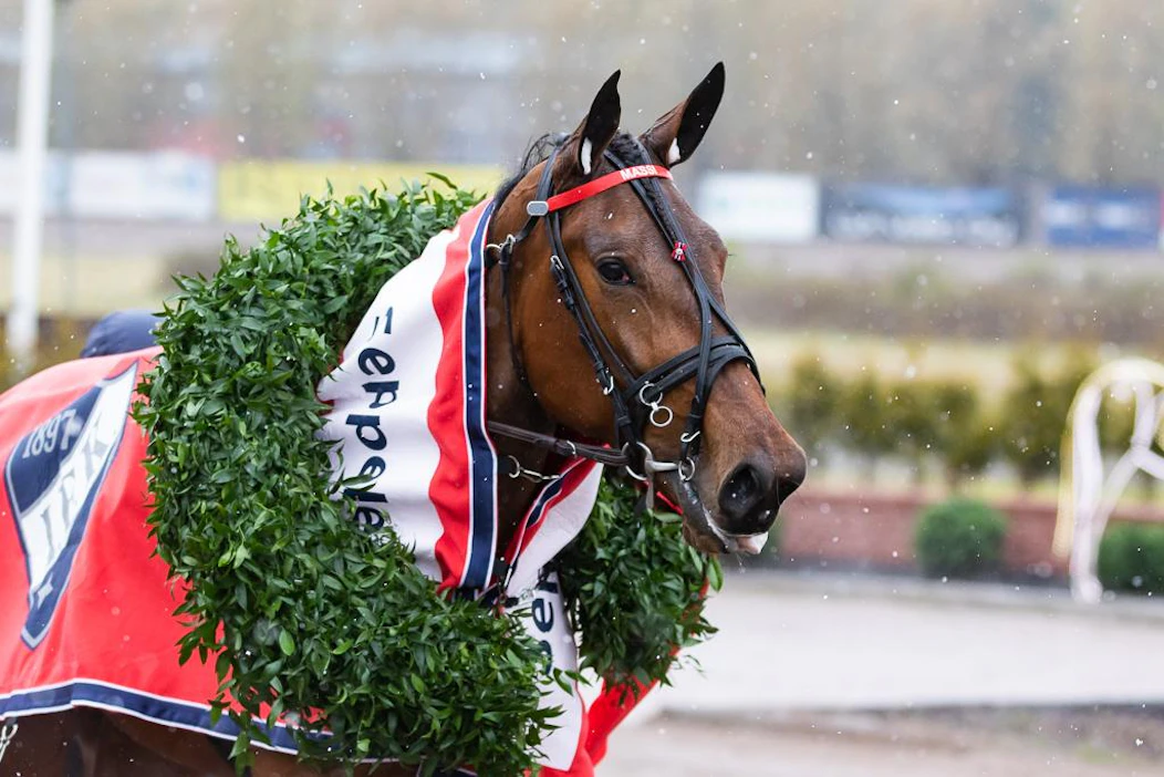 Vasta kerran urallaan hävinnyt Mascate Match hakee jo toista E3-seppelettään Ruotsista lauantaina.