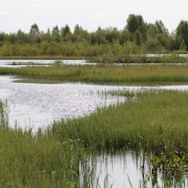 Pohjois-Savon luonnonsuojelupiiri on Rastunsuon lintujärven uusi omistaja.