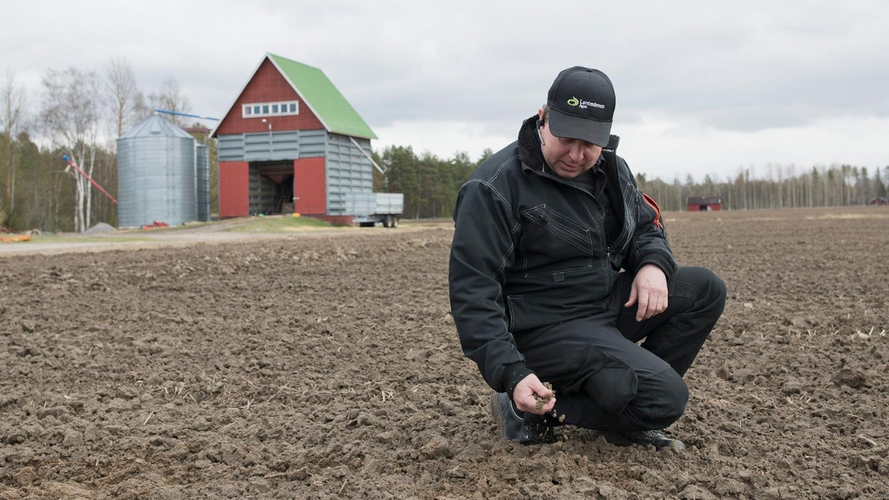 Tyrnäväläisen viljanviljelijän Ilkka Matinollin mukaan optimi tulevien viikkojen sääksi olisi 20 astetta lämmintä ja puolipilvistä. Kylvöille hän aikoo lähipäivinä.