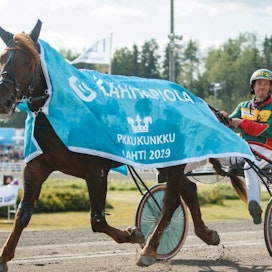 Kolmea Suomen ennätystä hallussaan pitävällä Landen Paukulla Derbyn, Oulu Expressin, Pikkuprinssin, Pikkukunkun, Pikkupelimanni-ajon ja Satakunta-ajon voittanut Jani Suonperä on saanut valmennukseensa uuden lahjakkuuden.