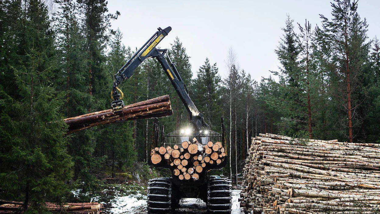 Puukauppatulot ilmoitetaan 2C-lomakkeen alussa. Myös uudenlainen, pankin maksama puunmyyntisaatavan kauppahinta on pystykauppatuloa.