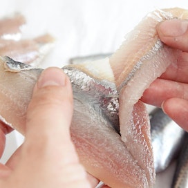 MSC-sertifioitujen kalojen kysyntä on kasvussa.