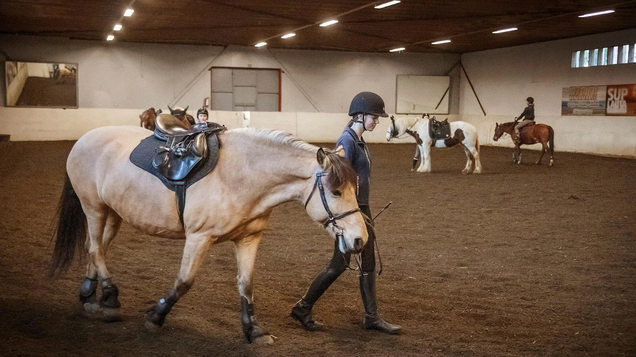 Utran tallilla Joensuussa on ratsastettu poikkeustilan aikana hieman normaaliakin pienemmissä ryhmissä ja hygieniasäännöistä on pidetty tarkoin kiinni. Ruusa ja ratsastaja Saara Leinonen jäähdyttelevät tunnin lopuksi.