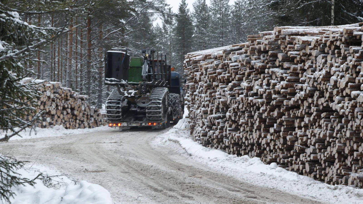 Kanteestaan luopunut metsänomistaja saa Stora Enson 4 017,25 euron ja UPM:n 3 489,77 euron oikeudenkäyntikulut anteeksi, mutta joutuu maksamaan Metsäliiton 2 159,83 euron oikeudenkäyntikulut.
