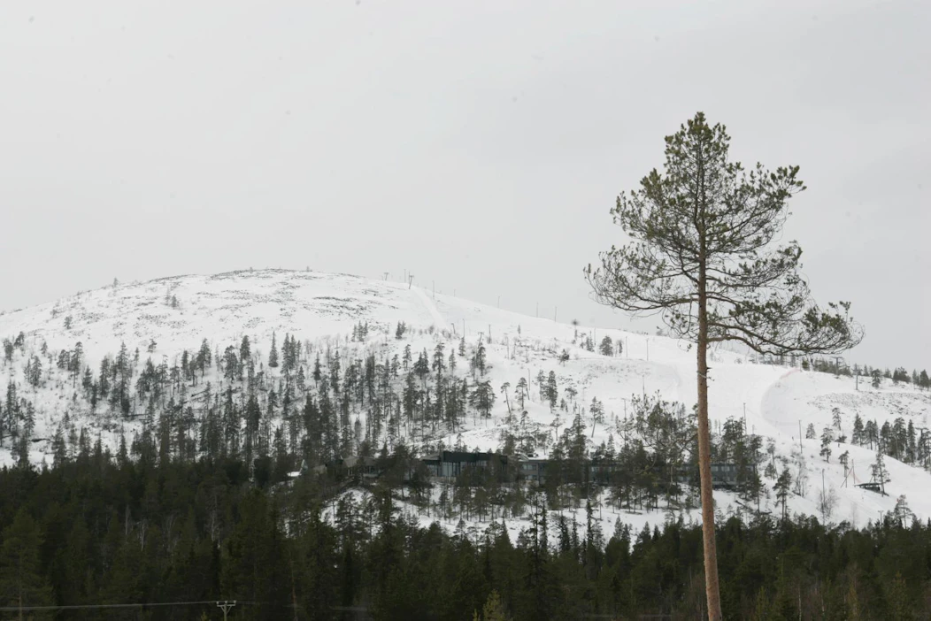 Metsähallituslain valmistelussa kiistellään siitä, mihin virkistys- ja vesialueet kuuluvat kirjanpidossa.