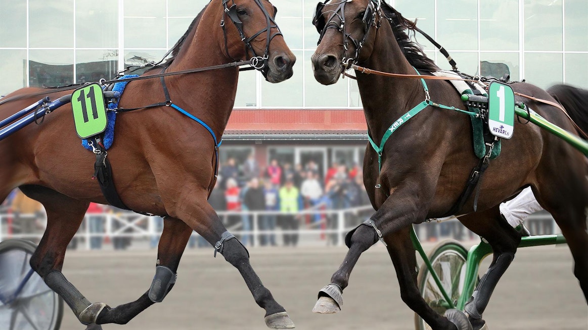 Victory Bonsain ja T. Rexin lähtö on yksi lauantain odotetuimmista kisoista.